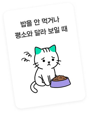 고양이 일러스트