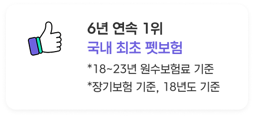 슬라이드 4 상단 일러스트